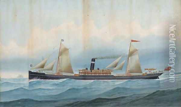 The British India steamer Fultala at sea Oil Painting - Edward Clegg Wilkinson
