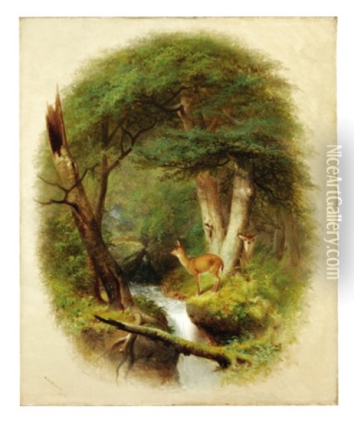 Deer By A Forest Brook Oil Painting - William Holbrook Beard