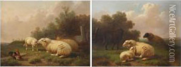 Sheep In The Meadow Oil Painting - Joseph Van Dieghem