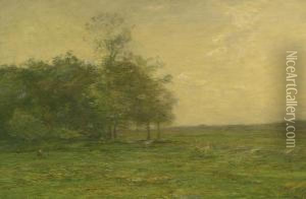 The Meadow Oil Painting - John Francis Murphy