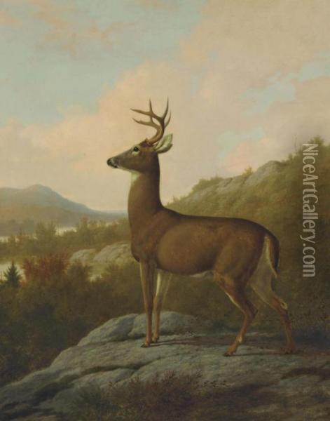 Deer In Landscape Oil Painting - Thomas Hewes Hinckley