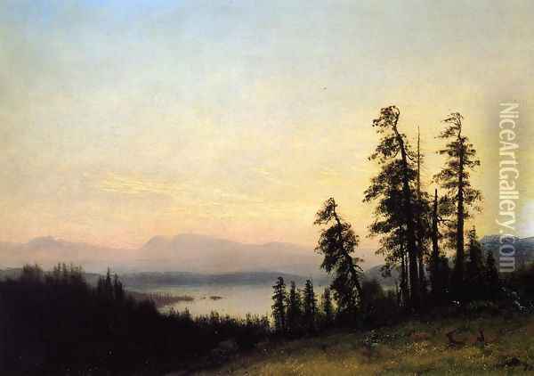 Landscape with Deer, View of Estes Park, Colorado Oil Painting - Albert Bierstadt