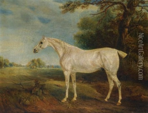 The Marquess Of Huntly's Fleabitten Grey Hunter Oil Painting - John E. Ferneley