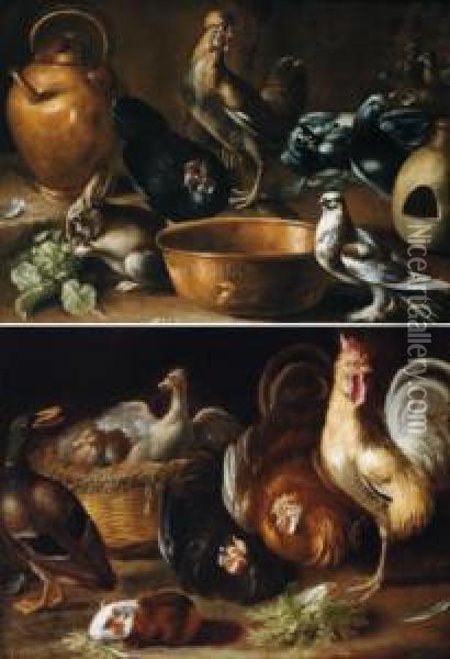Due Nature Morte Con Galli Ed Altri Animali Oil Painting - Giovanni Agostino Cassana