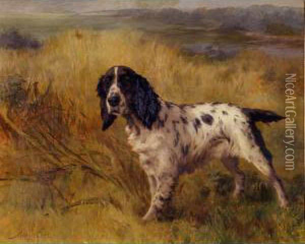 A Setter On Point Oil Painting - Maud Earl