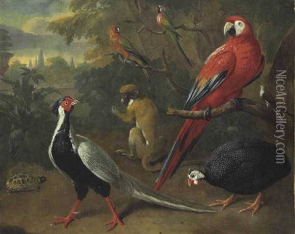A Scarlet Macaw, Helmeted Guineafowl, Silver Pheasant, And Other Exotic Birds With A Monkey And A Tortoise In A Garden, A Landscape Beyond Oil Painting - Charles Collins