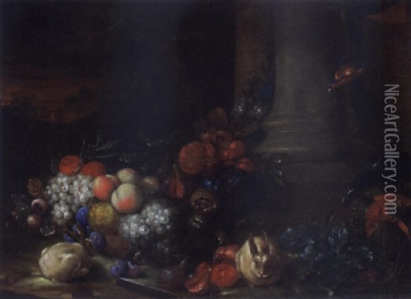 A Still Life With Grapes, Peaches, Plums, Pomegranates, Apricots, Figs, Medlars, And Bitter Oranges, Together With Two Rabbits, A Macaw And A Kingfisher Oil Painting - Peter Mathys Gillemans