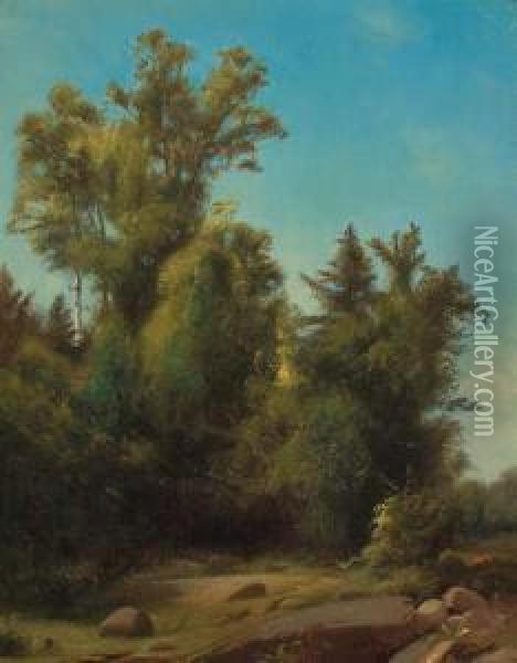 A Wooded Landscape Oil Painting - William M. Hart