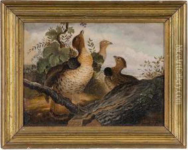 Bird Painting Oil Painting - Edwin Sheppard