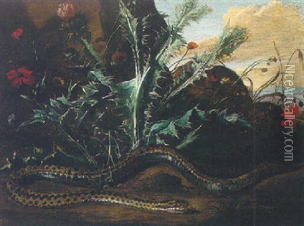 A Forest Floor Still Life With Thistles And An Adder Oil Painting - Niccolino Van Houbraken