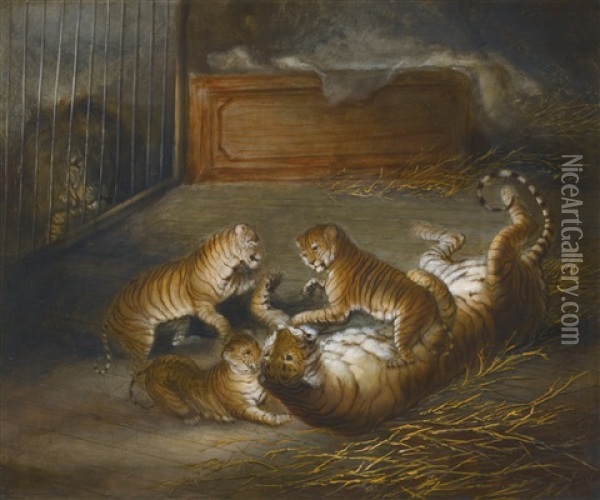 Three Liger Cubs Bred Between A Lion And A Tigress At The Royal Menagerie, Sandpit Gate, Windsor Great Park, October 1824 Oil Painting - Richard Barrett Davis