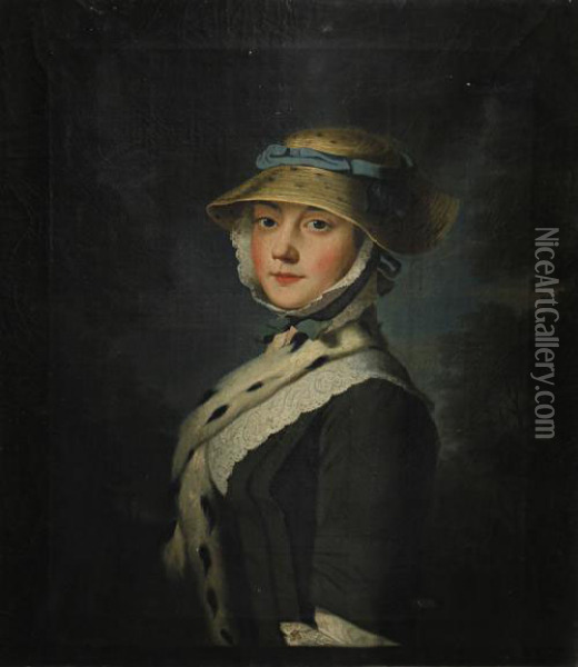 Portrait Of A Young Woman Oil Painting - Joseph Highmore
