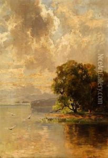Blick Auf Den See Mit Kleinerinsel Oil Painting - Paul Moralt