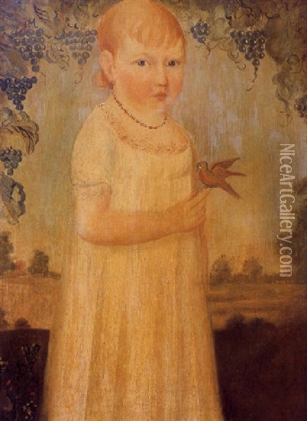 Portrait Of Sonbrona Dole, Aged Three Years And Three Months Oil Painting - Henry Williams