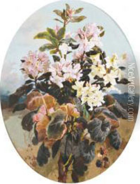 Bouquet De Rhododendrons Oil Painting - Marie Octavie Sturel Paigne