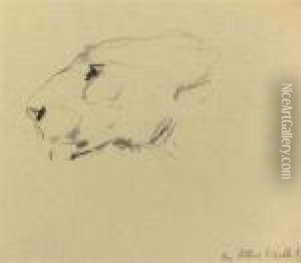 Two Sketches Of A Lion's Head Together With A Rough Sketch Ofhorse's Legs Oil Painting - Arthur Wardle