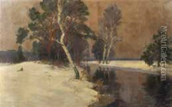 Wintertag Im Moorbruch/tauwetter Oil Painting - Franz Schreyer