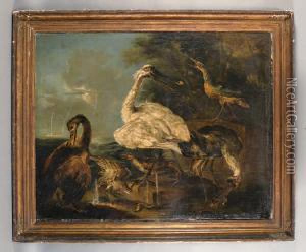 Animali Di Palude Oil Painting - Angelo Maria Crivelli, Il Crivellone