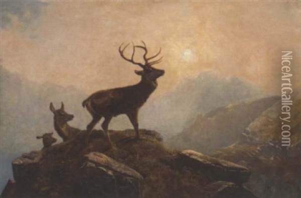 Stags In A Highland Landscape Oil Painting - Clarence Henry Roe