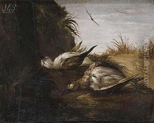 Bodegon De Aves Muertas Oil Painting - Miguel March
