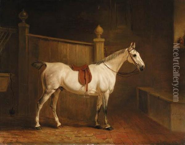 A Saddled Grey Hunter In A Stable Oil Painting - John Snr Ferneley