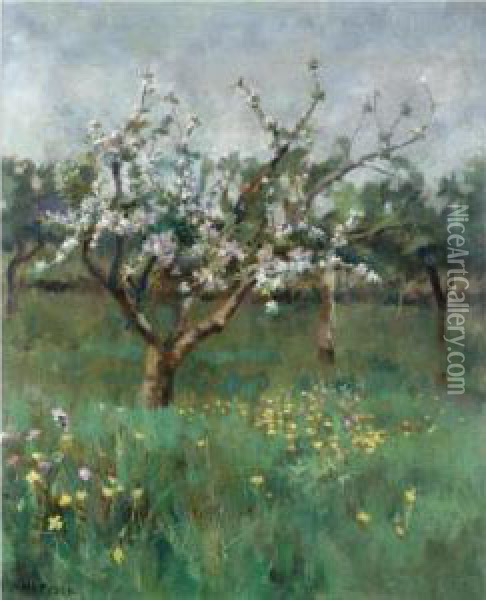 Apple Blossom Oil Painting - Harvey Harold