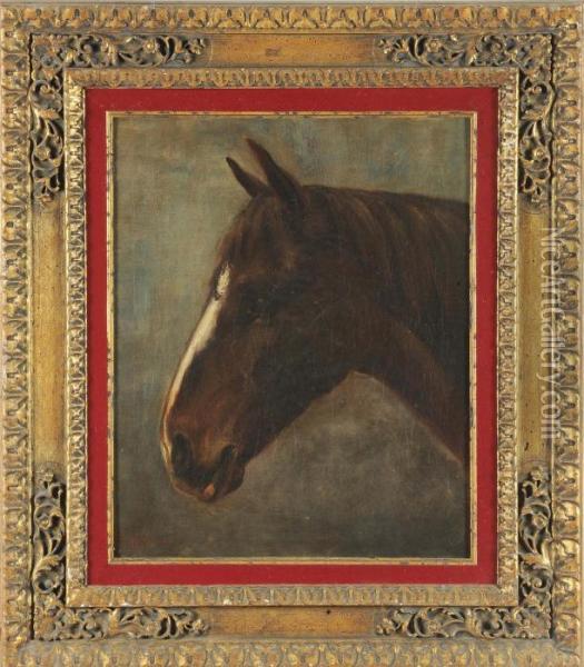 Testa Di Cavallo Oil Painting - Walter Hunt