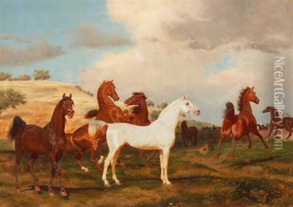 Grose Pferdegruppe Mit Weisem Schimmel In Weiter Landschaft Oil Painting - Friedrich Anton Kilp