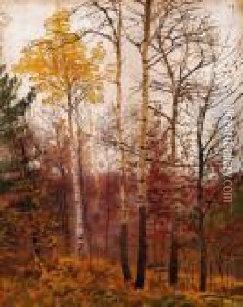 Autumn Oil Painting - Laszlo Mednyanszky