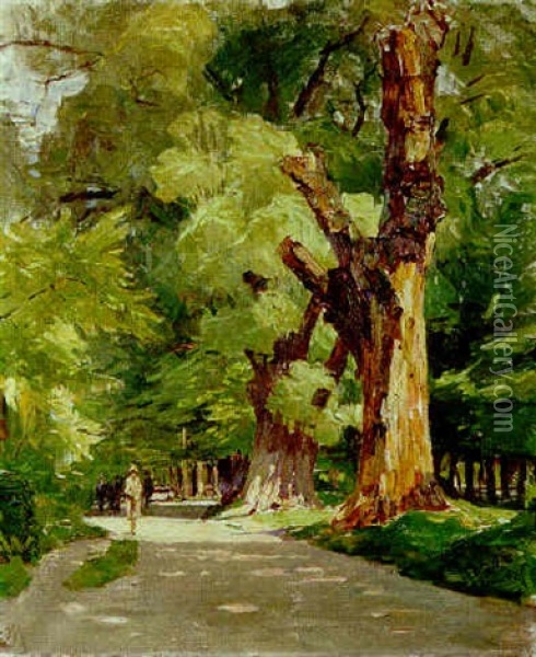 Alte Baum In Wiener Prater Oil Painting - Carl Moll