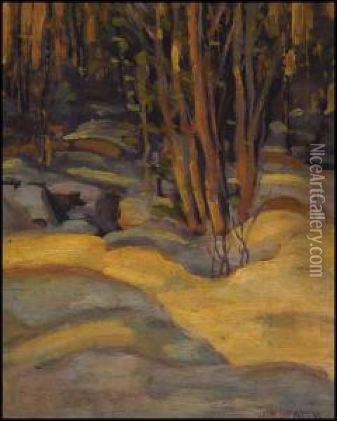Algonquin Park Oil Painting - John William Beatty