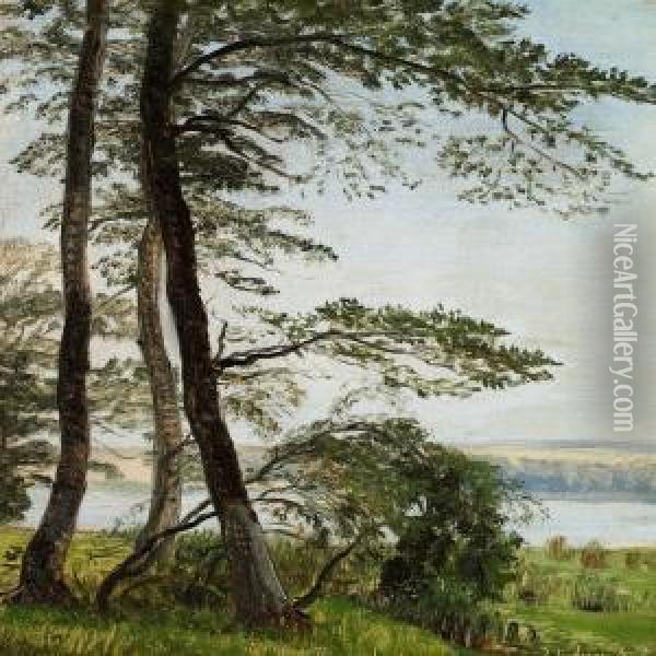 Tall And Slim Beech Trees On The Fringes Of The Forest Oil Painting - Peter Christian T. Skovgaard