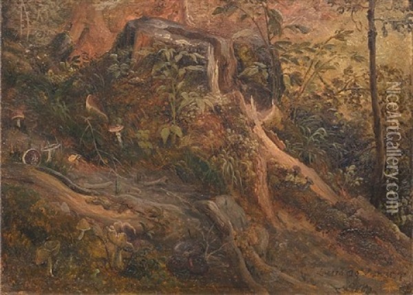 Skogbunn Oil Painting - Thomas Fearnley