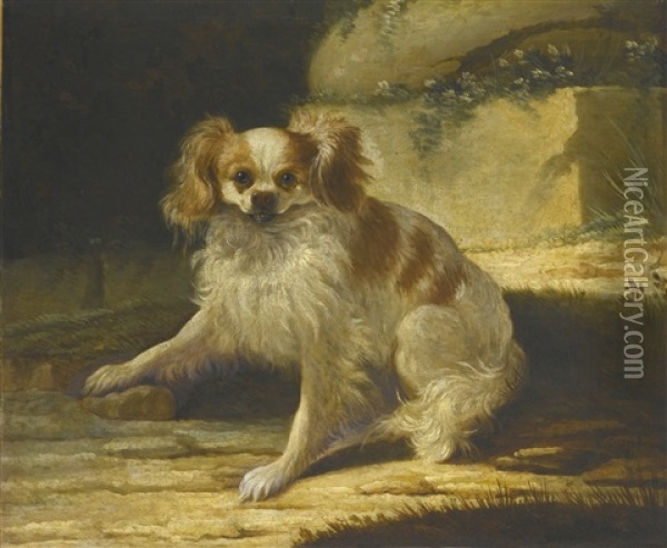 A Portrait Of A Brown And White Toy Spaniel In A Landscape Oil Painting - Jacques Charles Oudry
