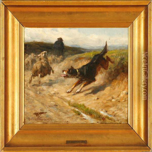 A Dog Chasing A Sheep Oil Painting - Leon-Charles Hermann
