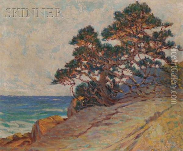 Windblown Pine/a California Coastal View Oil Painting - William Baxter Palmer Closson