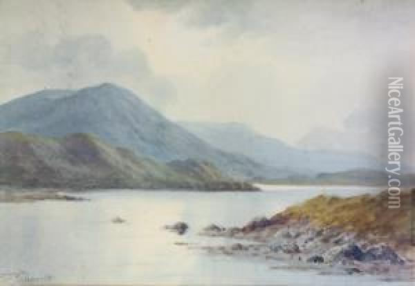 A Grey Day, Connemara Oil Painting - Douglas Alexander