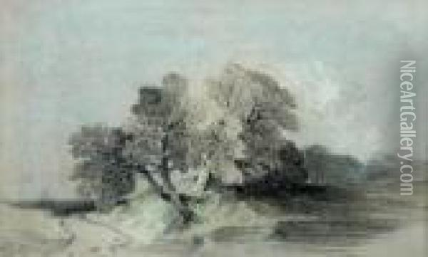 Studyof An Oak Tree Oil Painting - Henry Bright