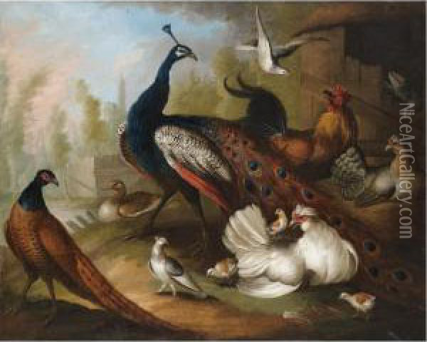 An Assembly Of Birds In A Parkland Setting, Including A Peacock, Hens And A Duck Oil Painting - Marmaduke Cradock