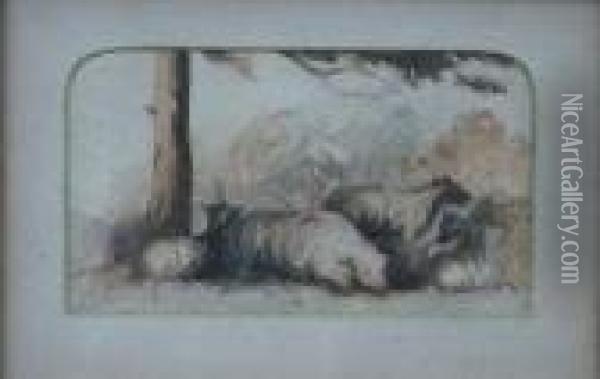 Study Of Sheep Under A Tree Oil Painting - Sir John Everett Millais