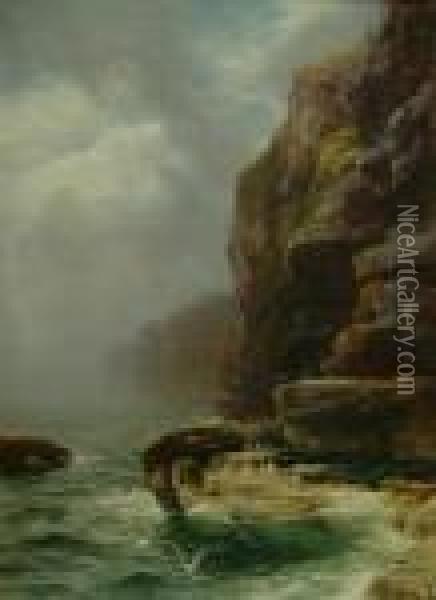 The Cradle Of The Seabird Oil Painting - Peter Graham