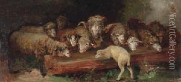 A Flock Of Sheep Drinking Oil Painting - Heinrich Johann Von Zugel