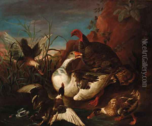 A turkey, a goose, and mallard at the edge of a river Oil Painting - Melchior de Hondecoeter