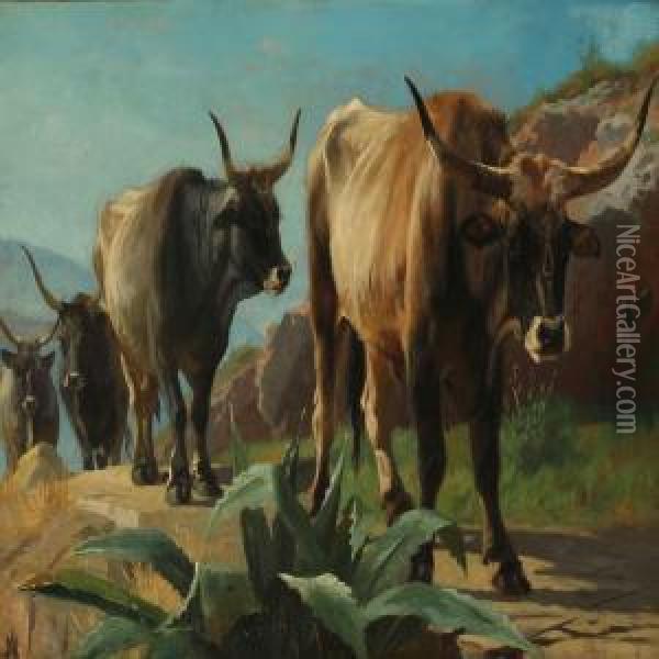 A Herd Of Oxen On A Mountain Trail In Olevano, Italy Oil Painting - Adolf Henrik Mackeprang