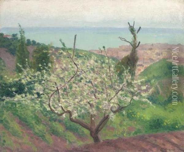 L'arbre En Fleurs Oil Painting - Albert Marquet