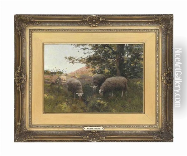 Sheep Grazing Under A Tree Oil Painting - Willem Steelink