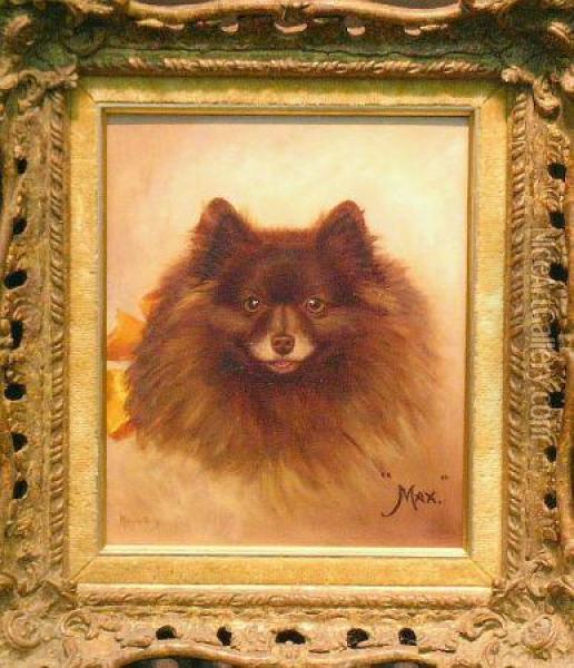 'max', A Pomeranian Oil Painting - Monica Gray