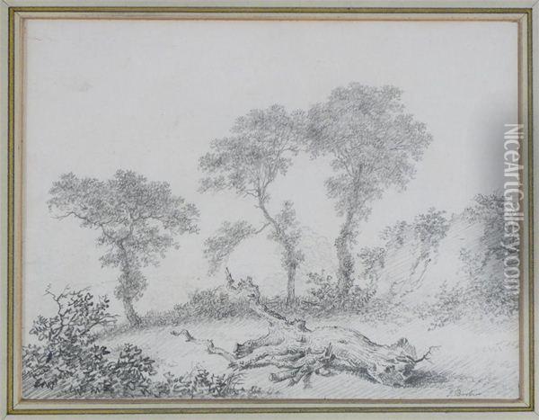 Three Trees In A Landscape Oil Painting - Joseph Ii Barber