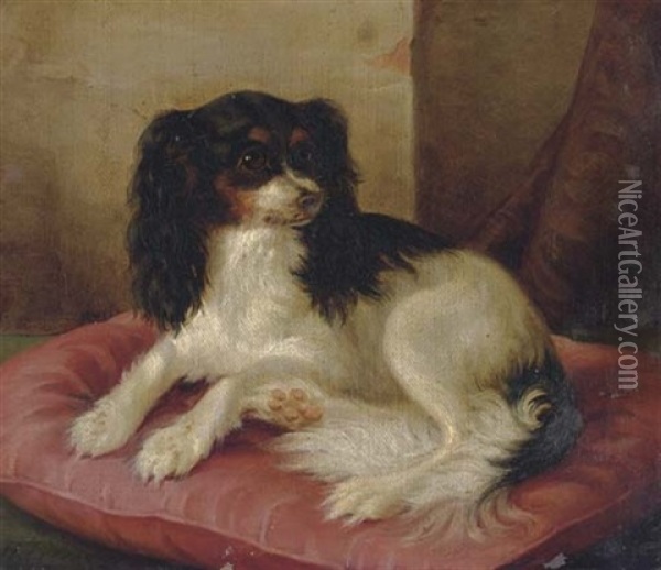 A King Charles Spaniel On A Red Cushion Oil Painting - Herman Freese
