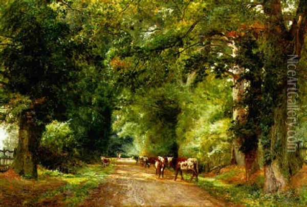 Cattle On A Wooded Path Oil Painting - Willem Maris